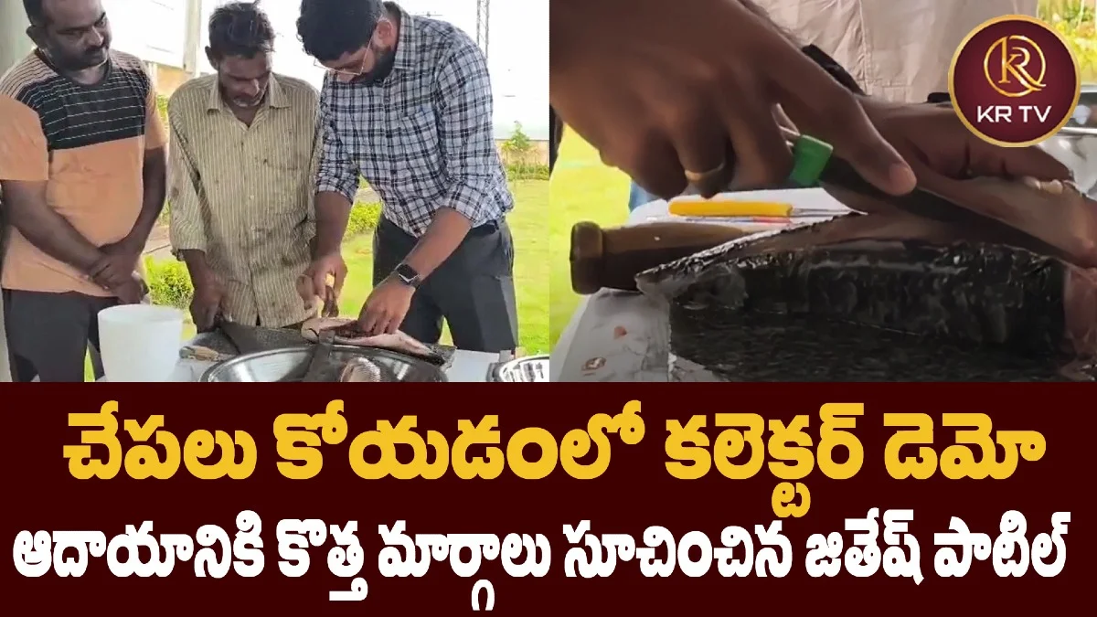 చేపలు కోయడంలో కలెక్టర్ డెమో: ఆదాయానికి కొత్త మార్గాలు సూచించిన జితేష్ పాటిల్